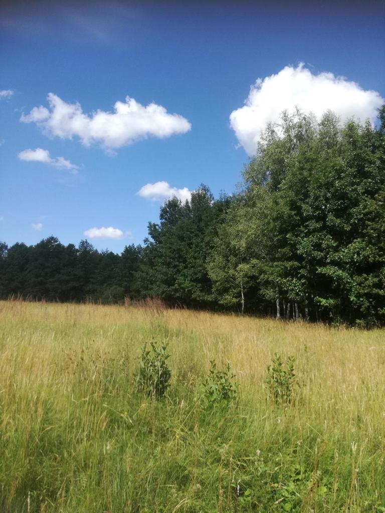 Urokliwa działka rolna 3,18 ha z lasem i dojazdem w Garbatówce Garbatówka  31 800m2 Foto 1