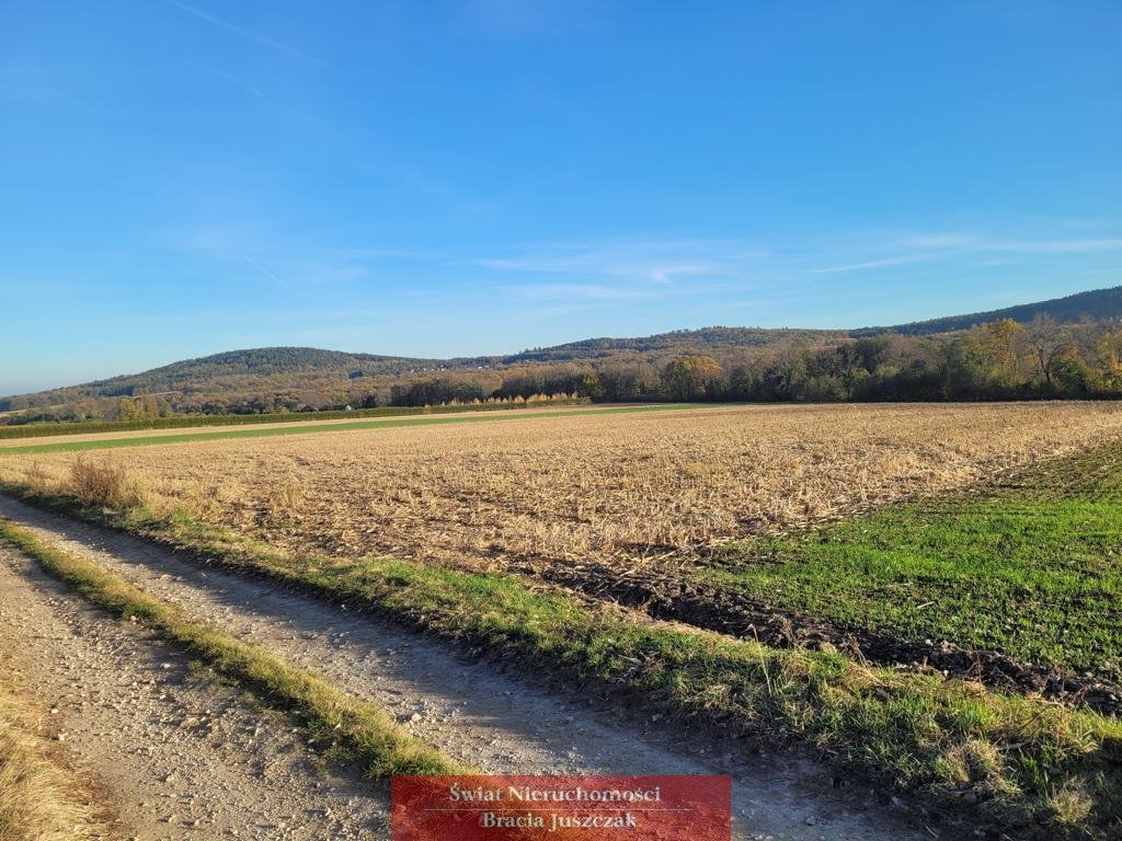 Działka rolna na sprzedaż Będkowice  11 300m2 Foto 4