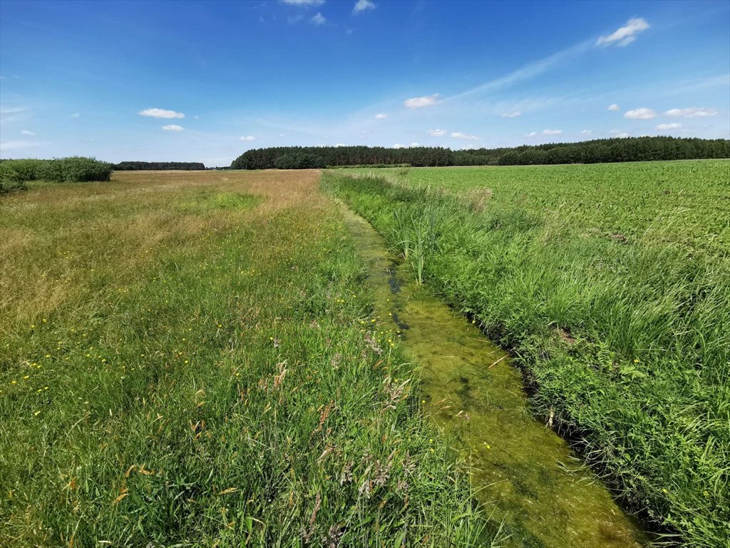 Działka rolna na sprzedaż Kleszczyna  27 800m2 Foto 12