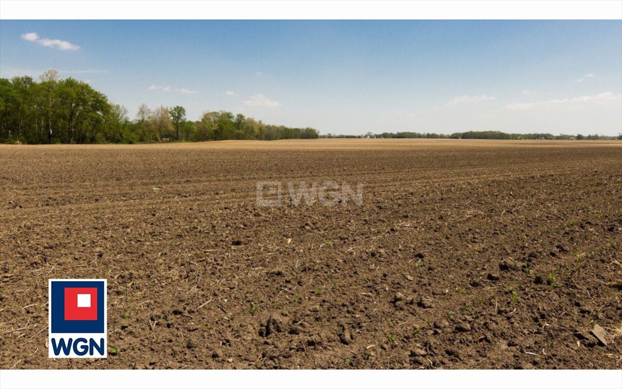 Działka 2,36 ha z lasami i rolami – inwestycja lub rekreacja Kolonia Lisowice, Kolonia Lisowice  23 635m2 Foto 1