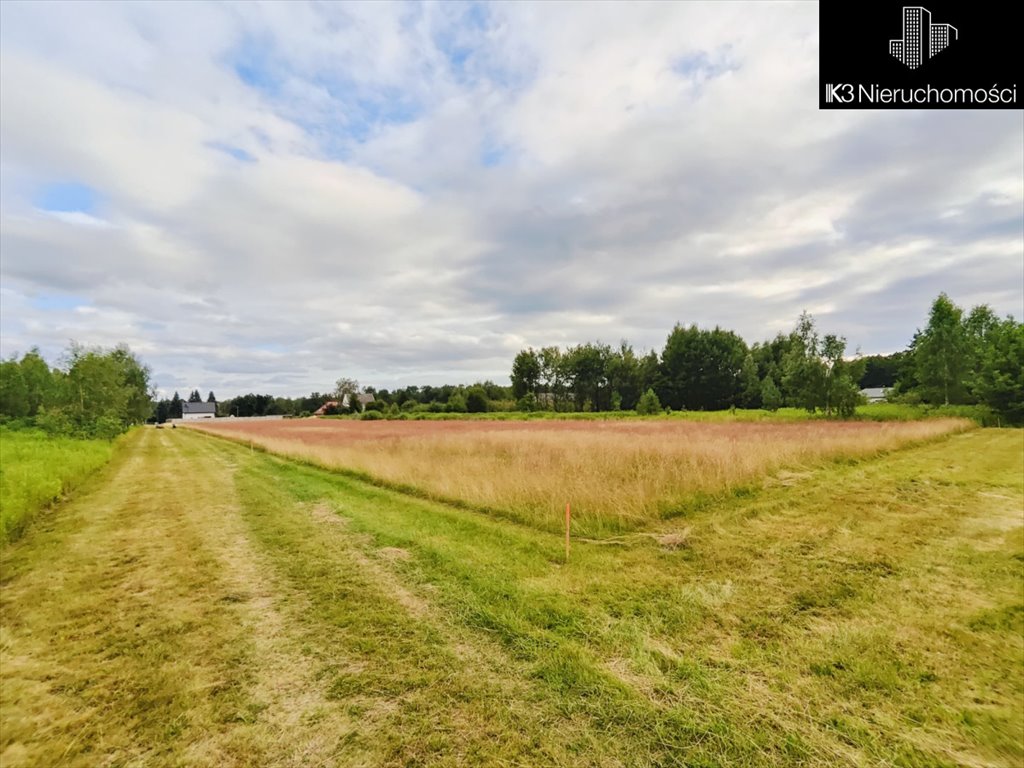 Działka budowlana na sprzedaż Pustelnik, Spacerowa  1 000m2 Foto 1