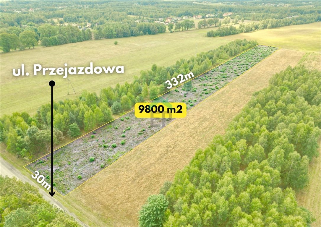 Działka inna na sprzedaż Aleksandria  9 800m2 Foto 2