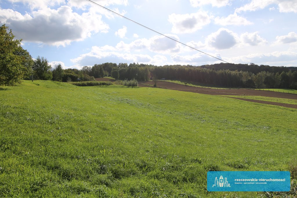 Działka budowlana na sprzedaż Rzeszów  2 800m2 Foto 4