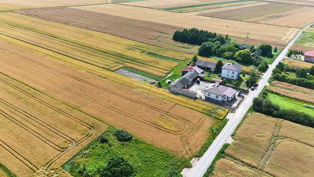 Działka budowlana na sprzedaż Pniówek  1 600m2 Foto 2