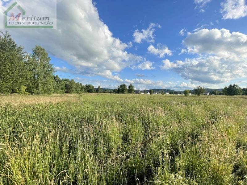 Działka budowlana na sprzedaż Bóbrka  3 008m2 Foto 1