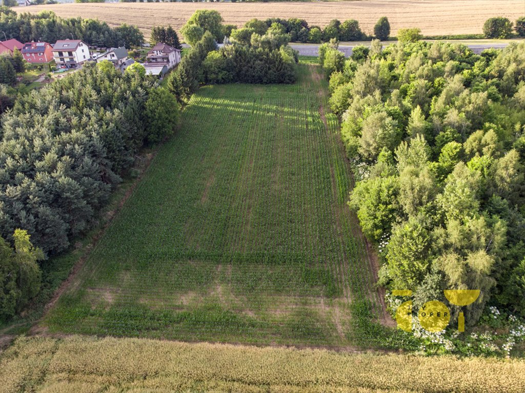 Działka budowlana na sprzedaż Brzezie  9 300m2 Foto 1