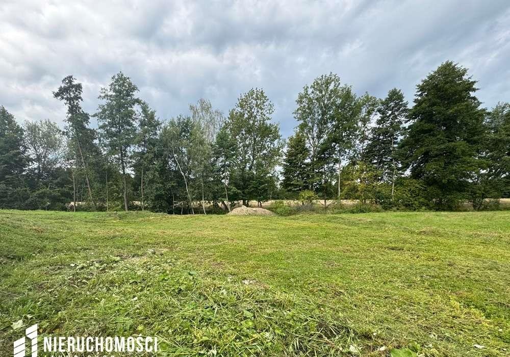 Działka inwestycyjna 34,42 ar z potencjałem pod 10 domów Sosnowice, Dworska  3 442m2 Foto 1