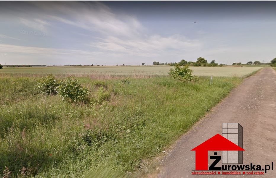 Grunt inwestycyjny 1,2 ha w Poznaniu – dostępny! Poznań, Nowe Miasto, Pokrzywno  12 000m2 Foto 1