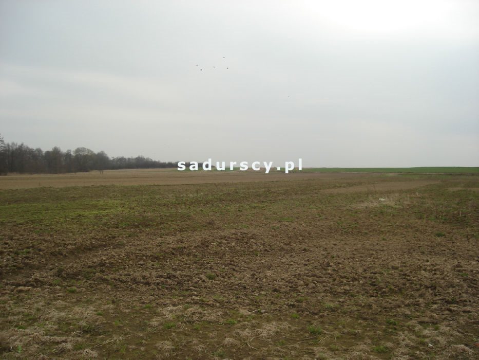 Działka inwestycyjna na sprzedaż Morawica  10 000m2 Foto 4