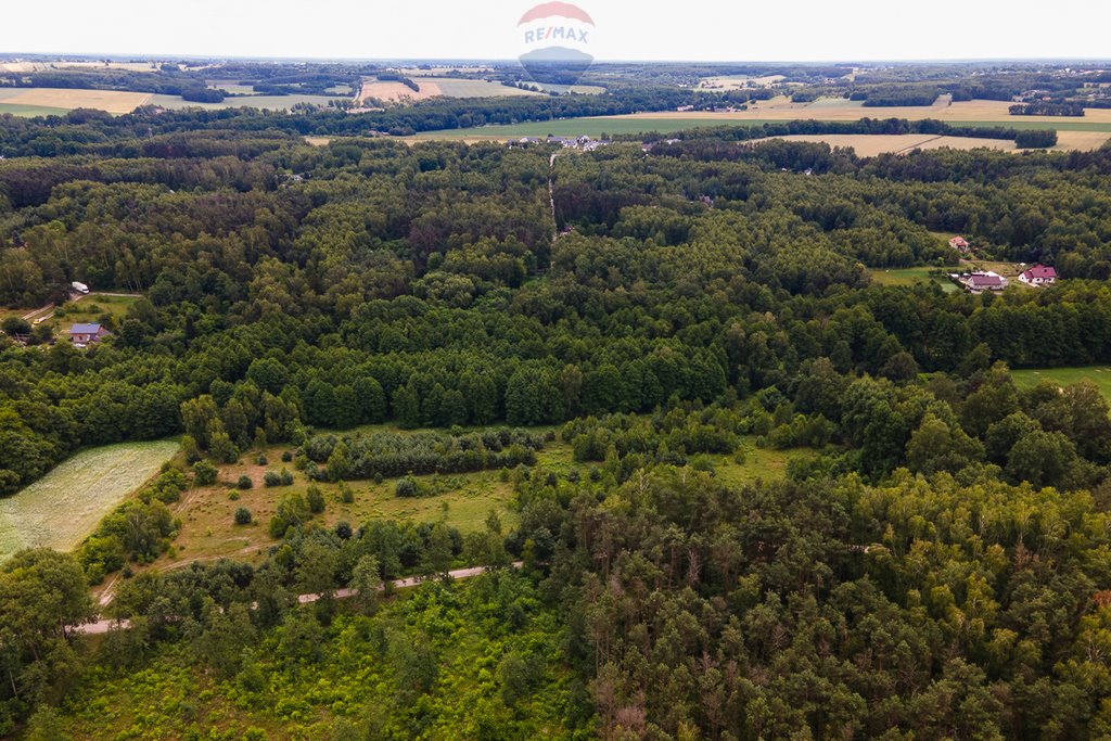 Działka siedliskowa na sprzedaż Boginia  53 419m2 Foto 4