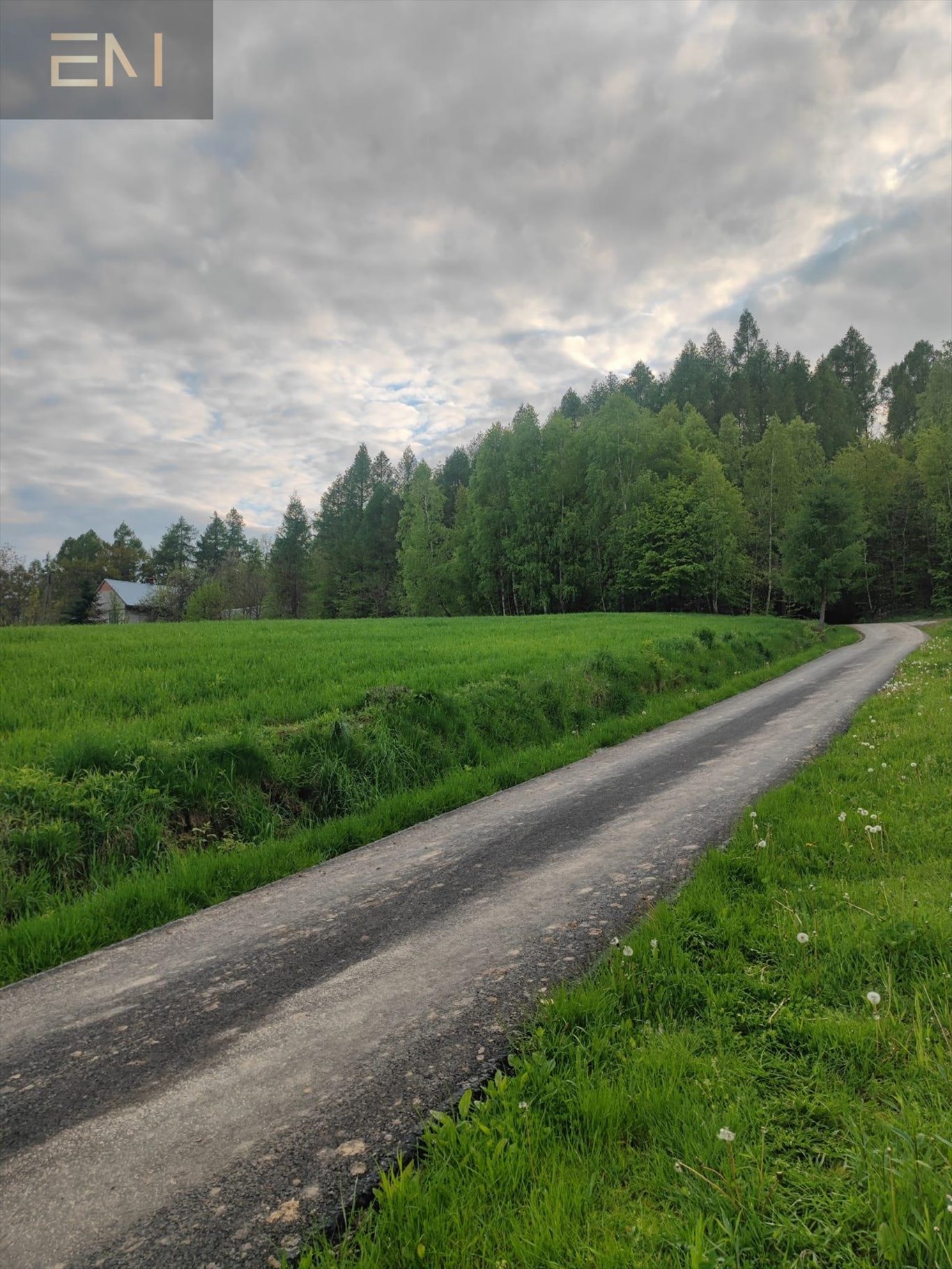 Działka budowlana na sprzedaż Hadle Kańczuckie  3 300m2 Foto 11