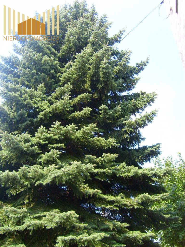 Na sprzedaż działka 705 m² z MPZP w Sulejówku Sulejówek  705m2 Foto 1