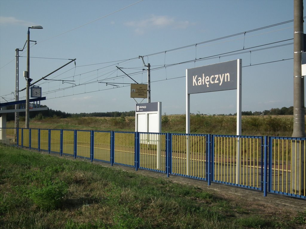 Działka siedliskowa na sprzedaż Bylice, Bylice  3 000m2 Foto 1