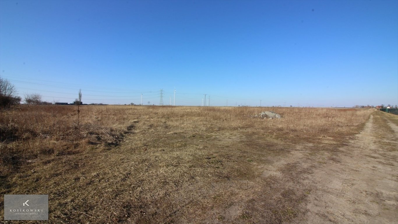 Działka inna na sprzedaż Namysłów, Gmina Namysłów  17 700m2 Foto 4