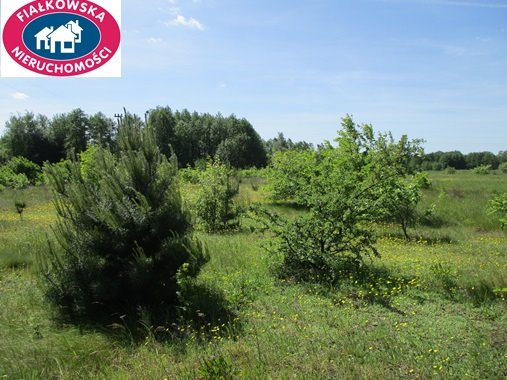 Działka budowlana na sprzedaż Długokąty  19 000m2 Foto 9