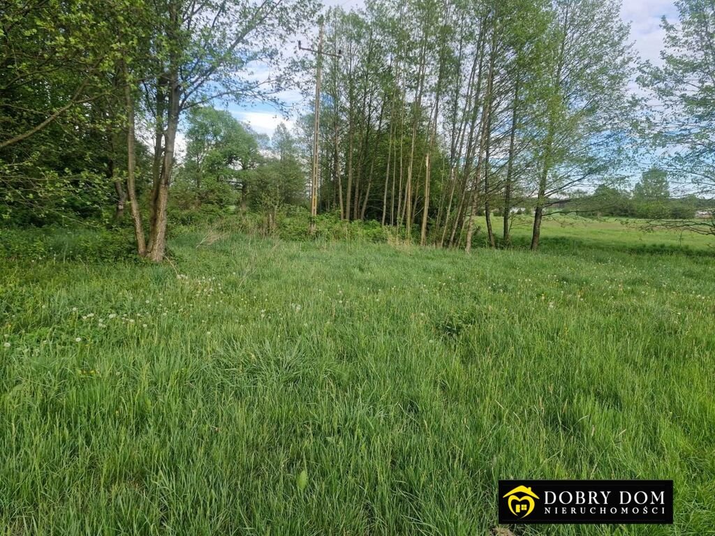 Działka rolna 6236 m² z szerokimi możliwościami inwestycji - polecam! Pogorzałki  6 236m2 Foto 1