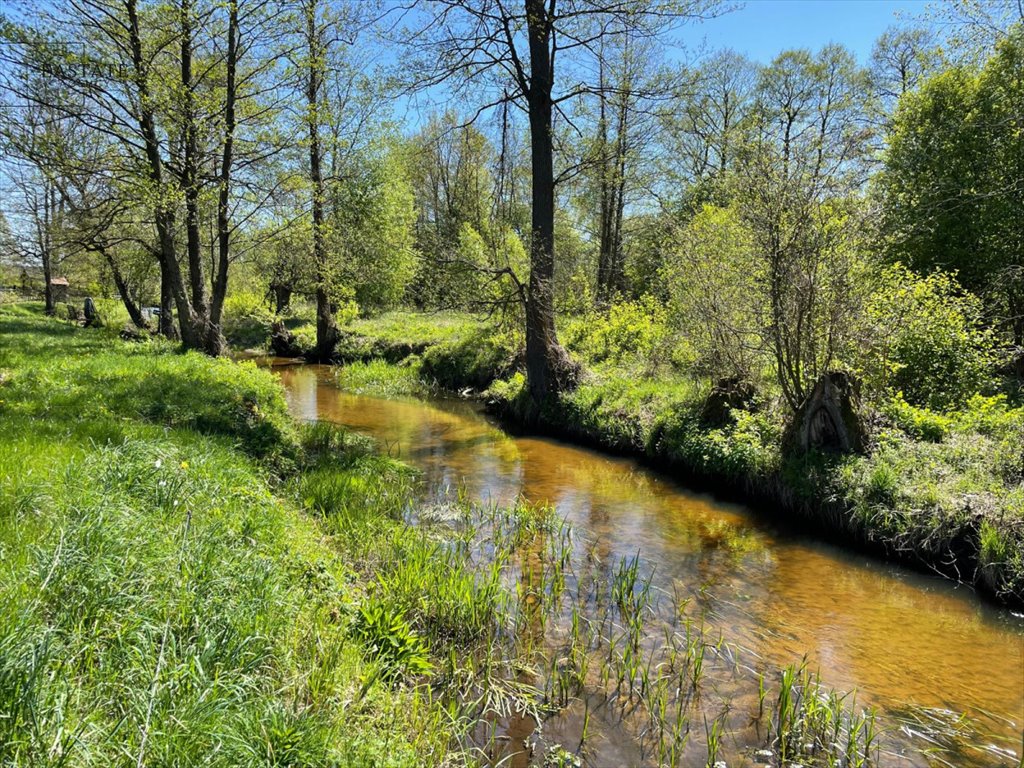 Działka z własnym stawem i dostępem do Narwi – unikalna oferta Długosiodło  2 818m2 Foto 1
