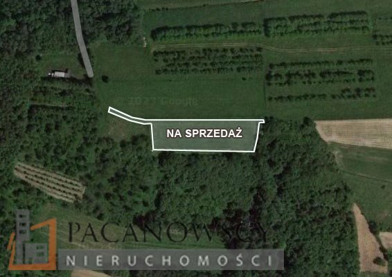 Działka rolna na sprzedaż Korzkiew  4 247m2 Foto 1