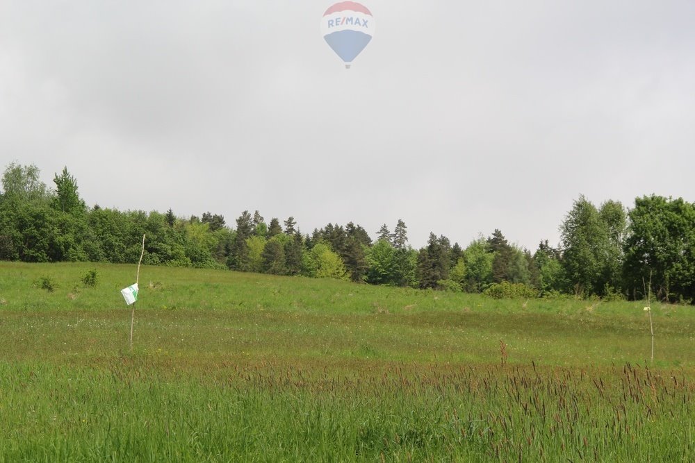 Działka leśna na sprzedaż Krośnica  8 049m2 Foto 16