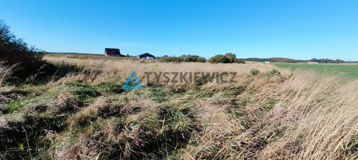 Działka budowlana na sprzedaż Borzytuchom  1 212m2 Foto 6