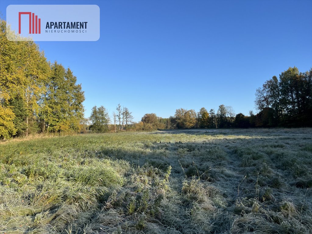 Działka gospodarstwo rolne na sprzedaż Dalewo  29 700m2 Foto 5