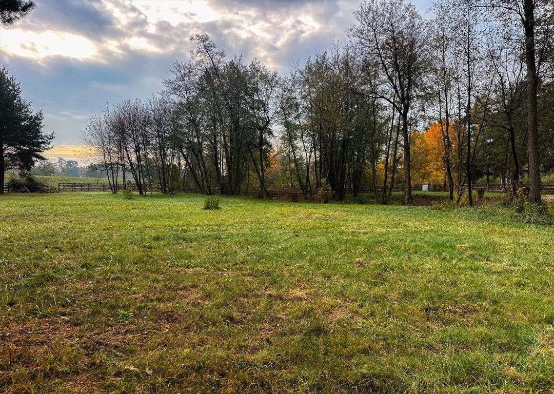 Działka budowlana na sprzedaż Niwy Ostrołęckie  2 385m2 Foto 5