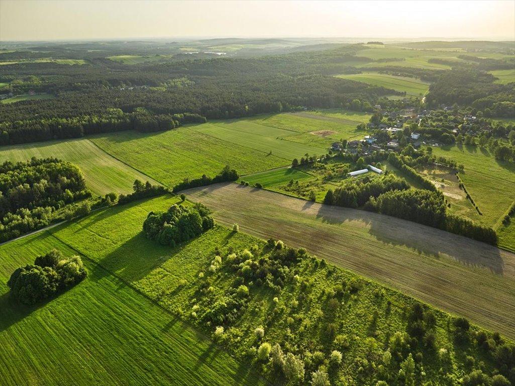 Działki budowlane przy Parku Orlich Gniazd - 800 m² Ogrodzieniec, Okazja! Działki budowlane przy Parku Orlich Gniazd  800m2 Foto 1