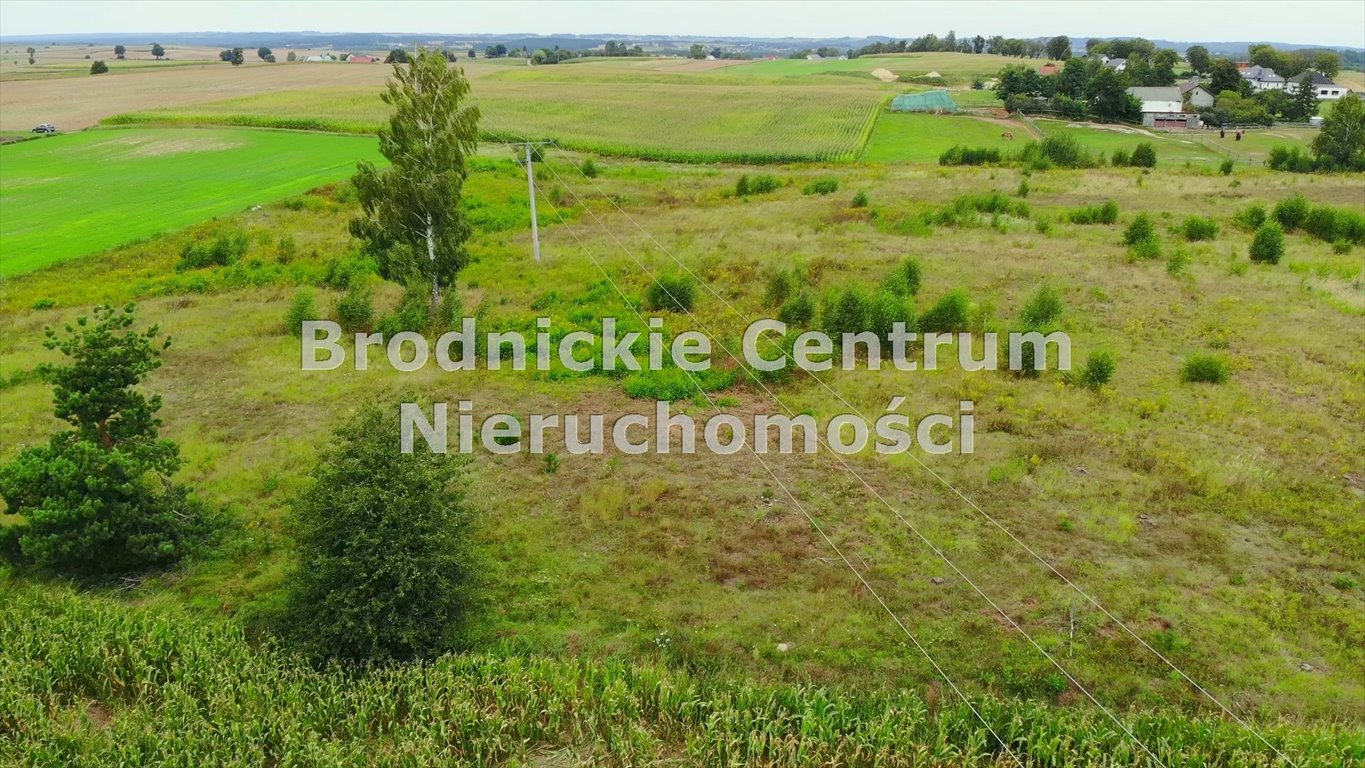 Działka rolna na sprzedaż Górzno, Górzno-Wybudowanie  25 200m2 Foto 7