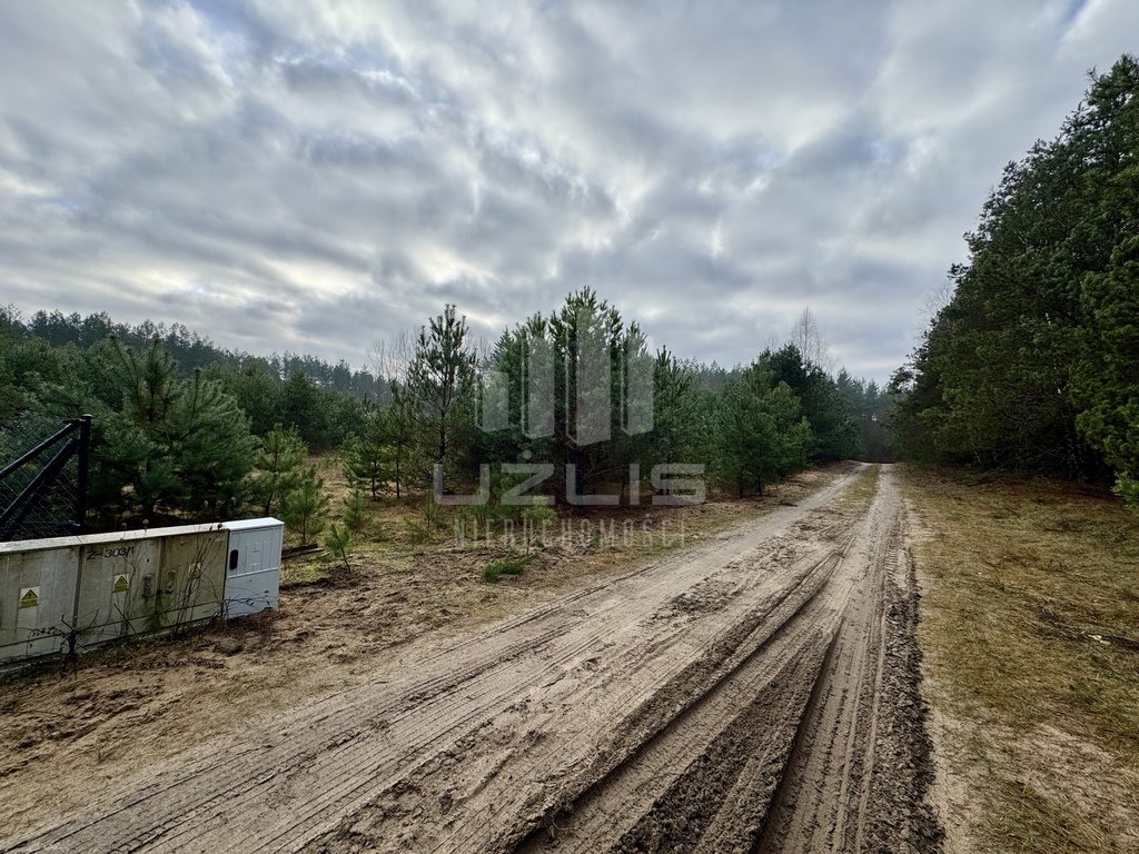 Działka budowlana na sprzedaż Osowo Leśne  3 064m2 Foto 7