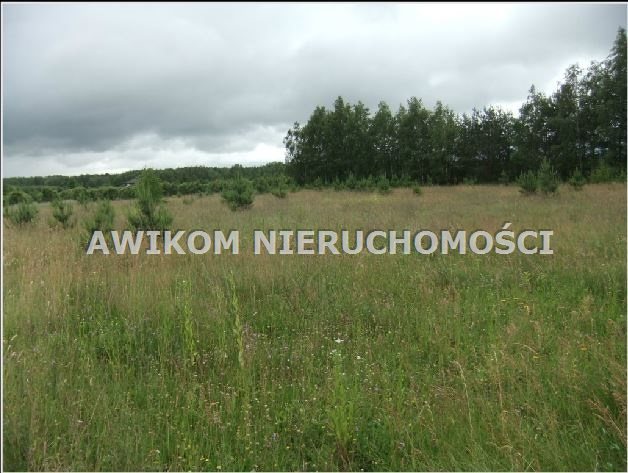 Działka budowlana na sprzedaż Skierniewice, Strobów 1 400m2 Foto 1 Działka budowlana na sprzedaż Skierniewice, Strobów 1 400m2 Foto 1