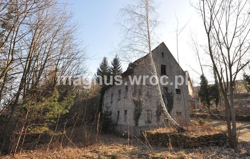 Działka inwestycyjna na sprzedaż Grzmiąca, Wiejska  5 400m2 Foto 1