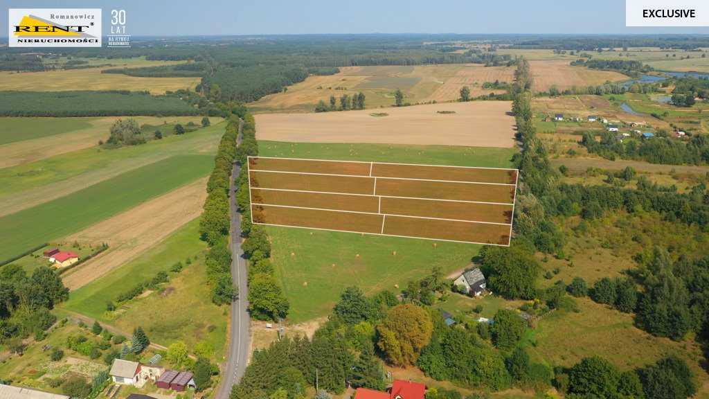 Działka budowlana na sprzedaż Wapnica  3 009m2 Foto 3