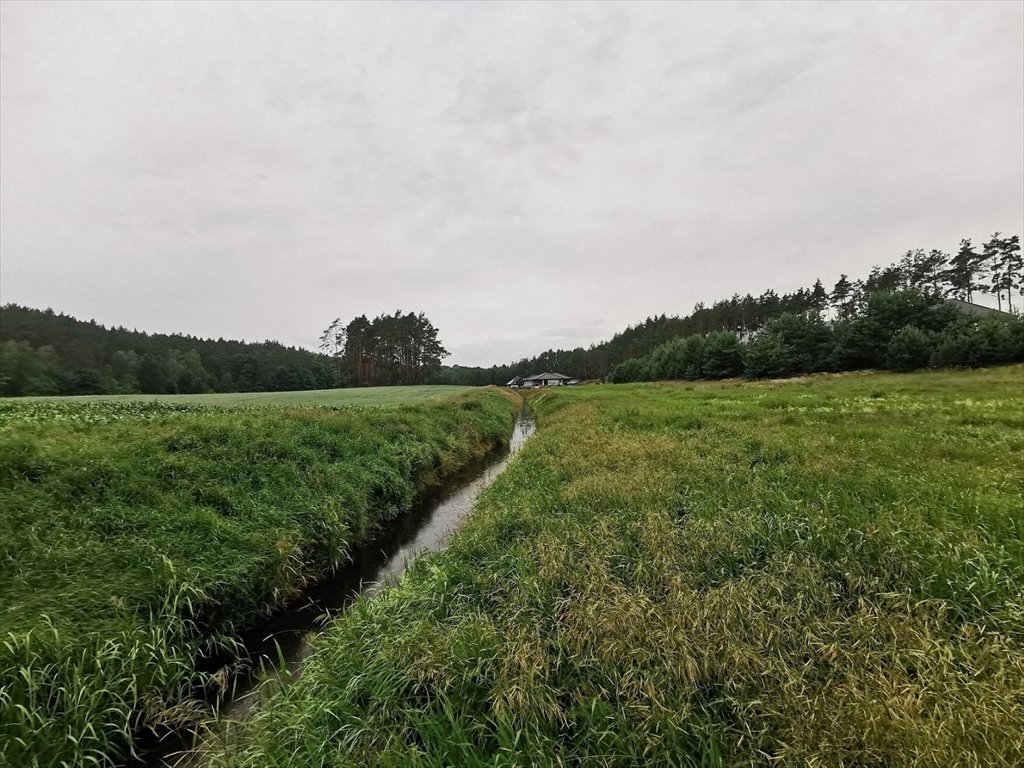 Działka budowlana na sprzedaż Międzybłocie, Międzybłocie  3 008m2 Foto 2