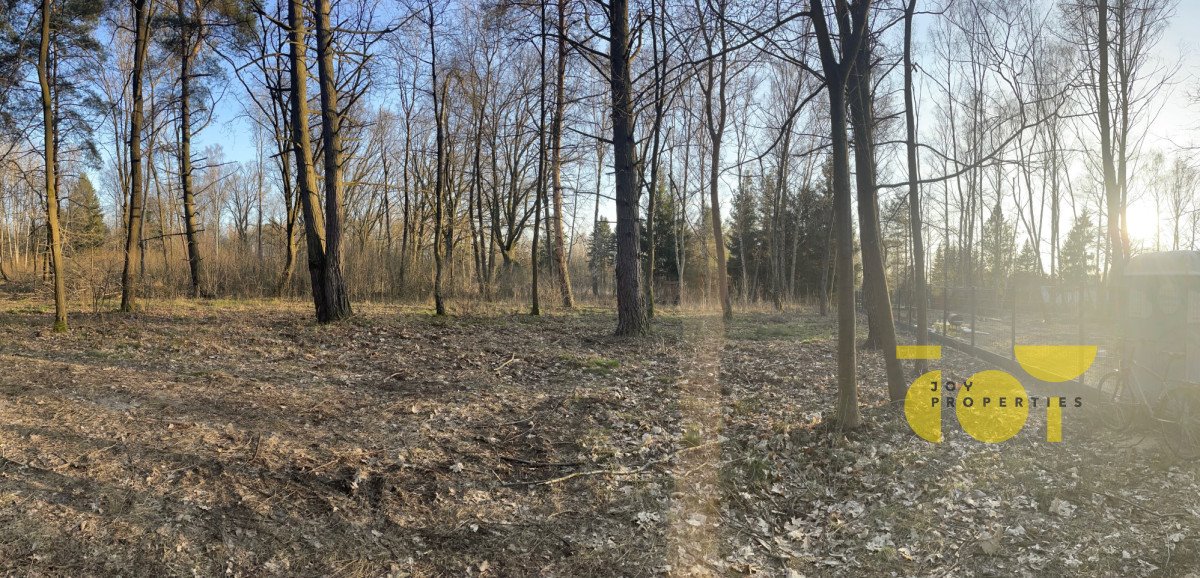 Działka budowlana na sprzedaż Złotokłos, Leśna  5 000m2 Foto 6