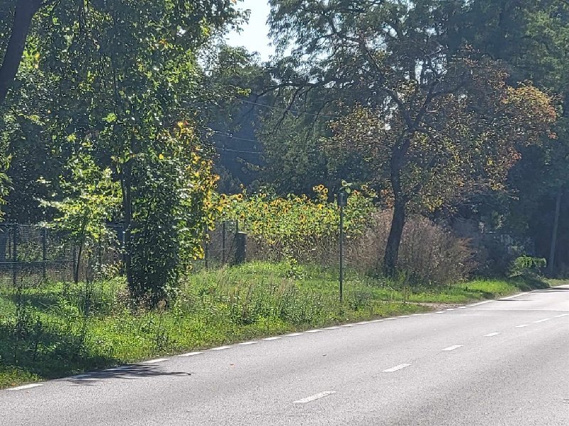 Działka budowlana 4520 m2 z mediami i planem zagospodarowania Mykanów, BOROWNO KOLONIA  4 520m2 Foto 1