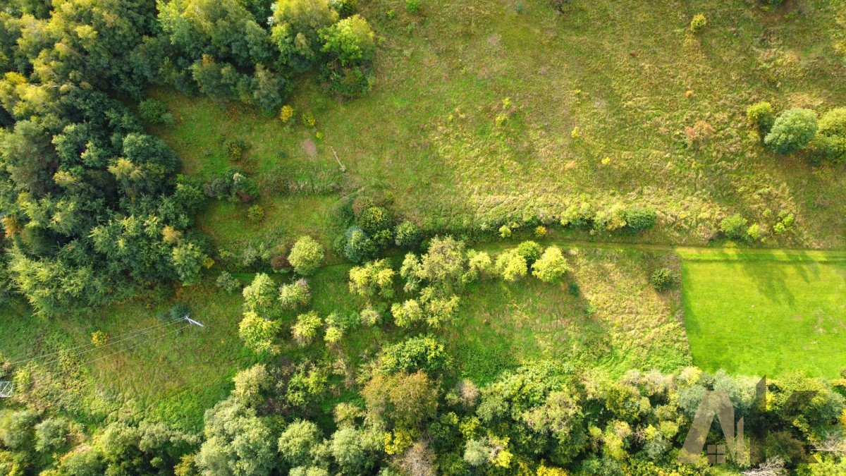 Działka budowlana na sprzedaż Zabrzeż  1 234m2 Foto 10