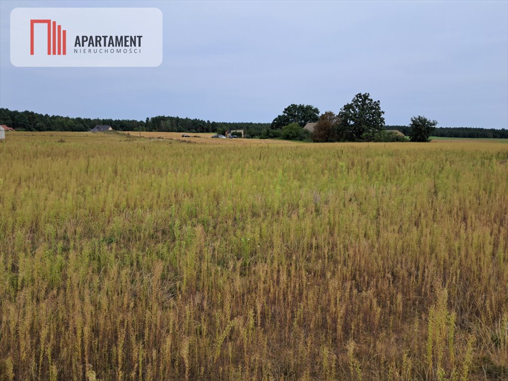 Działka gospodarstwo rolne na sprzedaż Gąbin  3 420m2 Foto 7