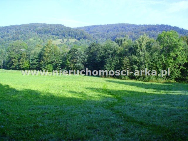 Działka budowlana na sprzedaż Gruszowiec 3 400m2 Foto 1 Działka budowlana na sprzedaż Gruszowiec 3 400m2 Foto 1