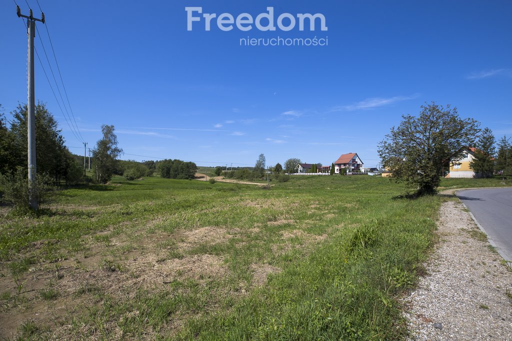 Działka budowlana na sprzedaż Harta  2 554m2 Foto 2