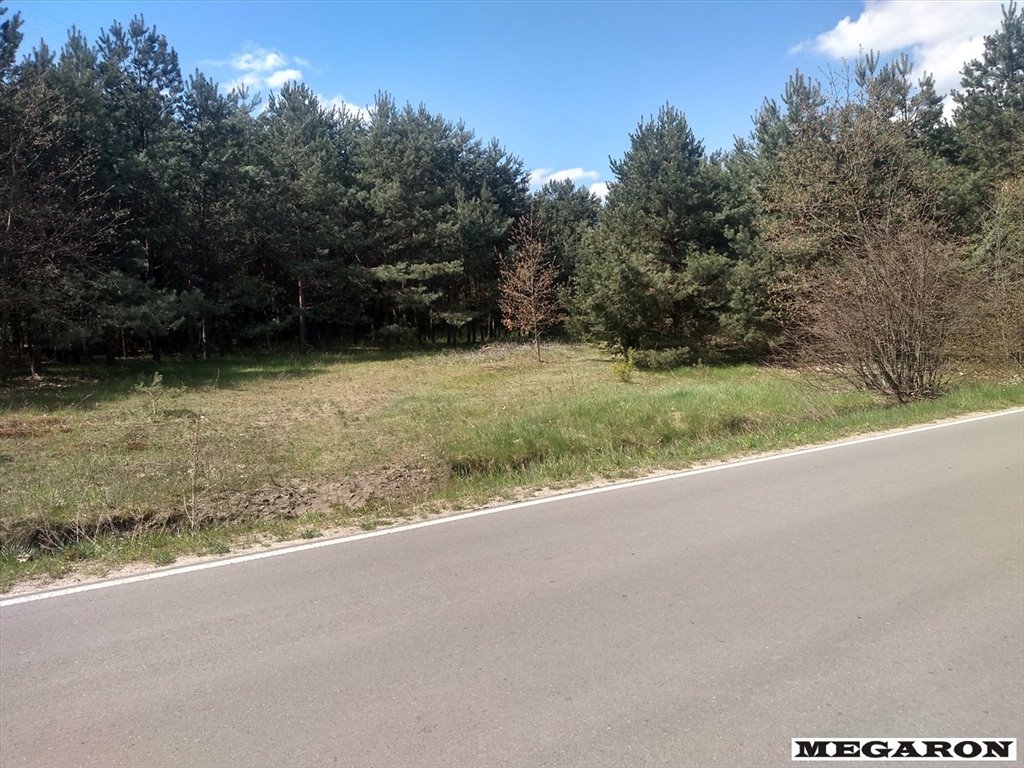 Działka 9 870 m² z lasem i mediami, Skrajnica Skrajnica  9 870m2 Foto 1
