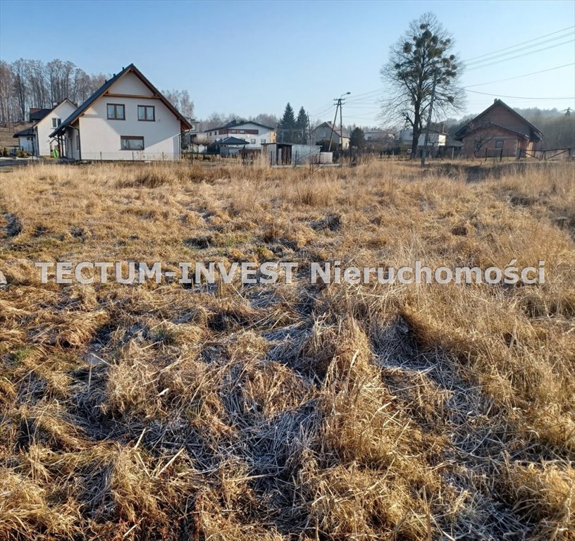 Działka inna na sprzedaż Wodzisław Śląski, Turzyczka  1 000m2 Foto 1