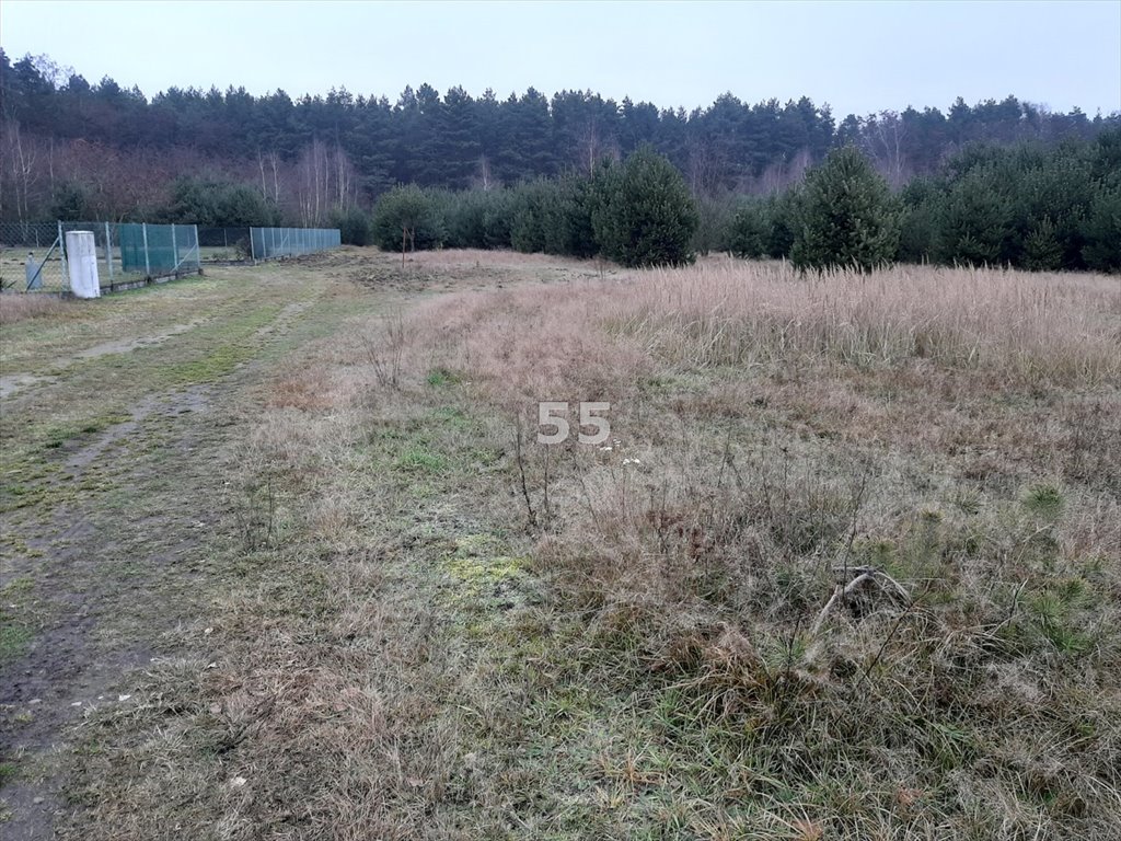 Działka inna na sprzedaż Świerczyna  1 138m2 Foto 2