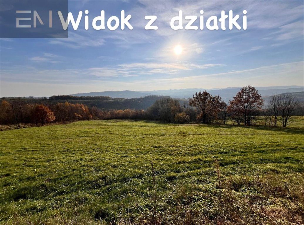 Działka rekreacyjna na sprzedaż Lutcza  2 200m2 Foto 2