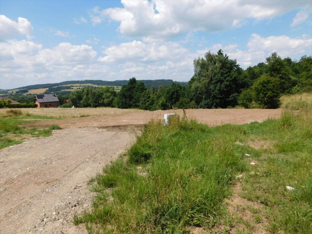 Działka budowlana na sprzedaż Boguszyn  2 000m2 Foto 5