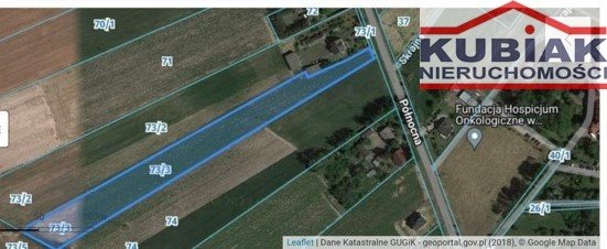 Zapraszam do obejrzenia działki 8 434 m² z podziałem na budowlaną i rolną Bramki  8 434m2 Foto 1