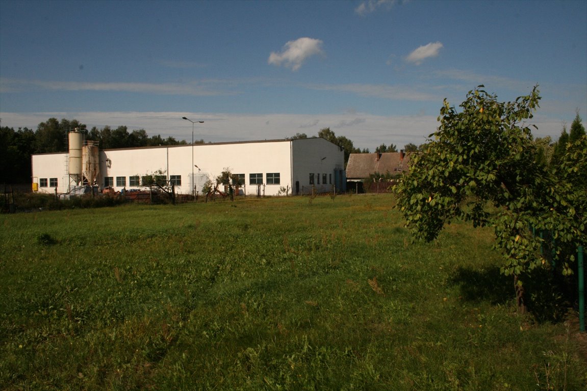 Hala 1500m² z placem, wys. 11m, przy DK24, Przytoczna Przytoczna, Główna 1  1 500m2 Foto 1