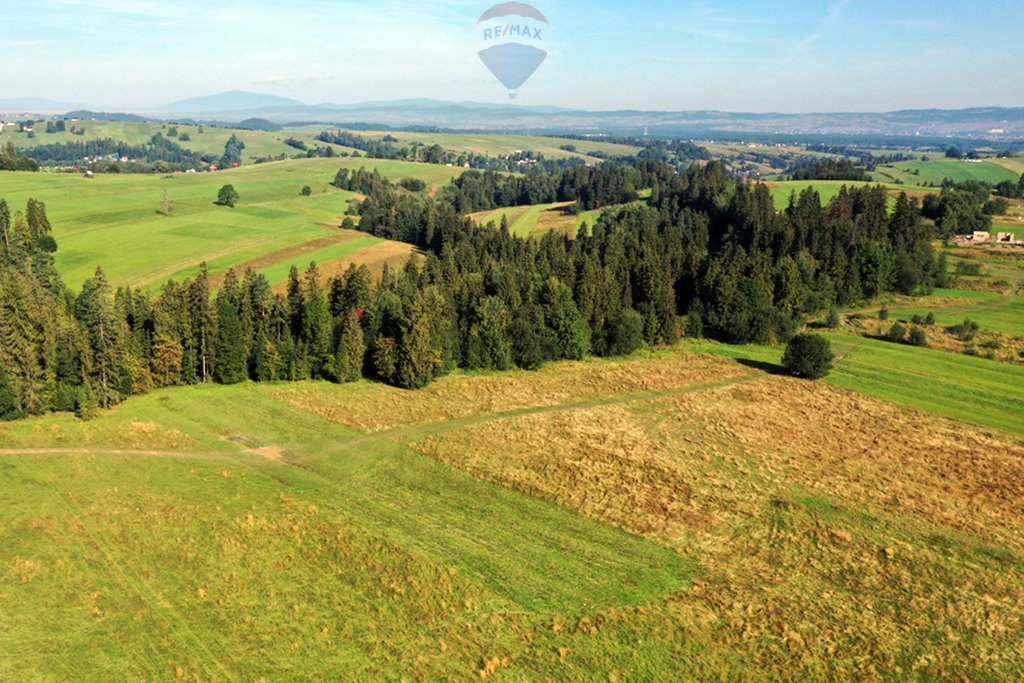 Działka rolna na sprzedaż Białka Tatrzańska  4 151m2 Foto 5