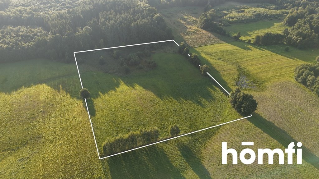Zapraszam do zakupu działki 2,43 ha z lasem i potencjałem inwestycyjnym Stare Monasterzysko  24 300m2 Foto 1