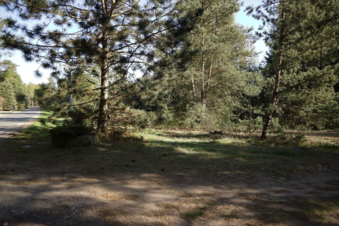 Działka 3907 m² z lasem - cisza i dobry dojazd Nekielka, Kwiatowa Droga  3 907m2 Foto 1