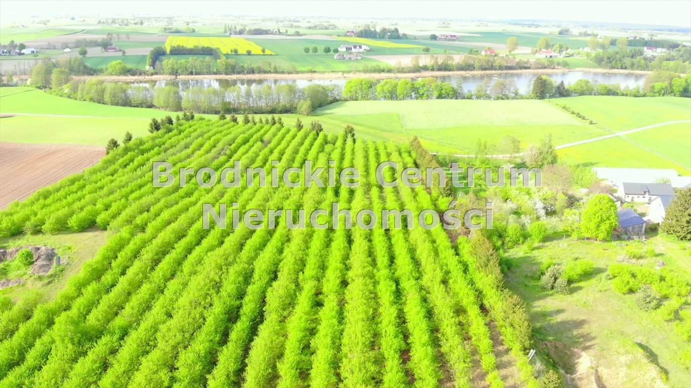 Działka rolna na sprzedaż Księte  3 000m2 Foto 16